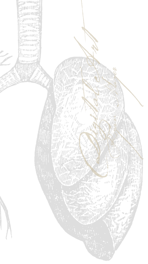 illus_Lungs-Digital-Art